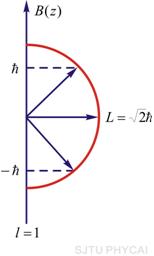 一位对物理化学充满热情的学生渴望成为一名科学家